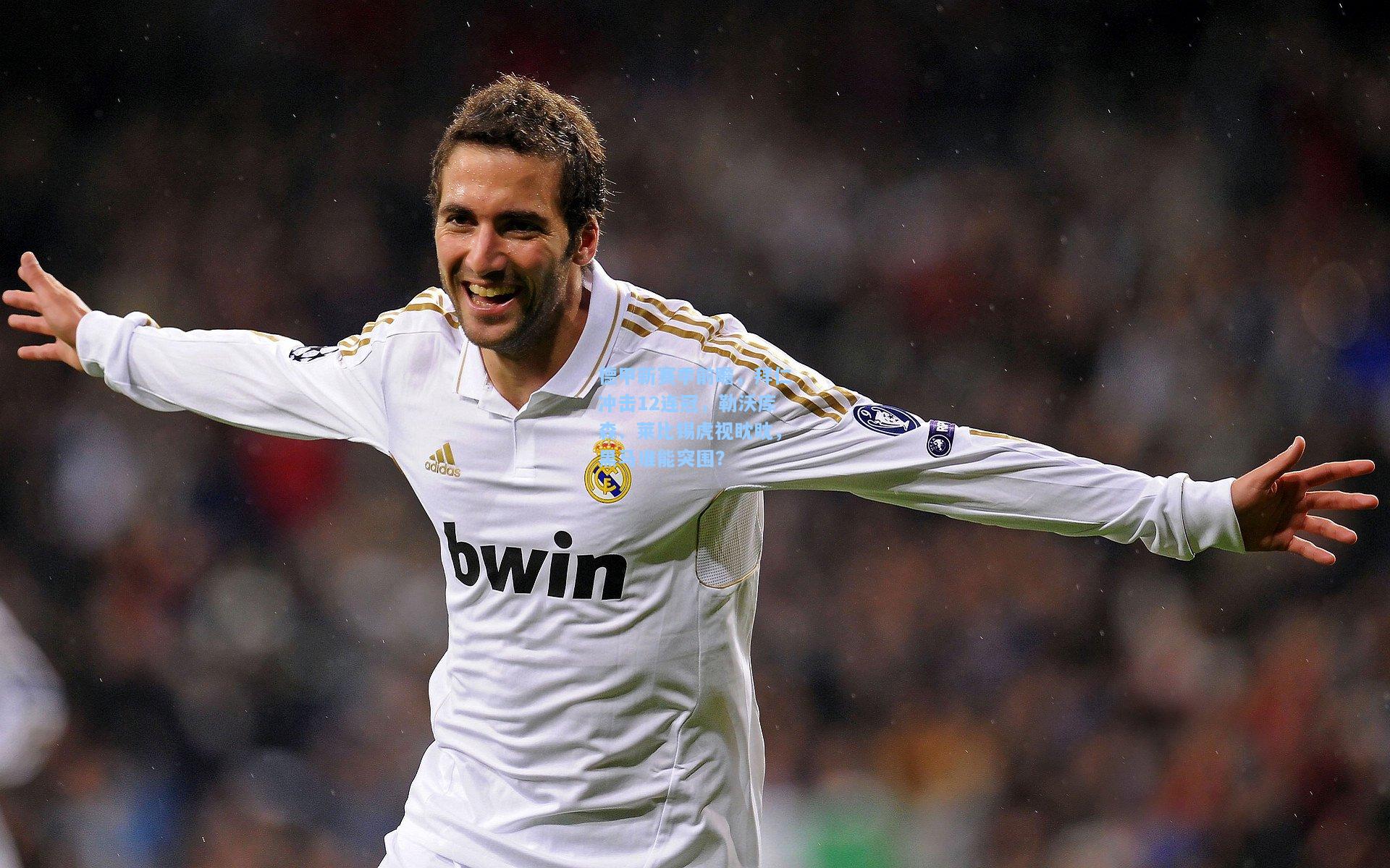 开云-德甲新赛季前瞻，拜仁冲击12连冠，勒沃库森、莱比锡虎视眈眈，黑马谁能突围？